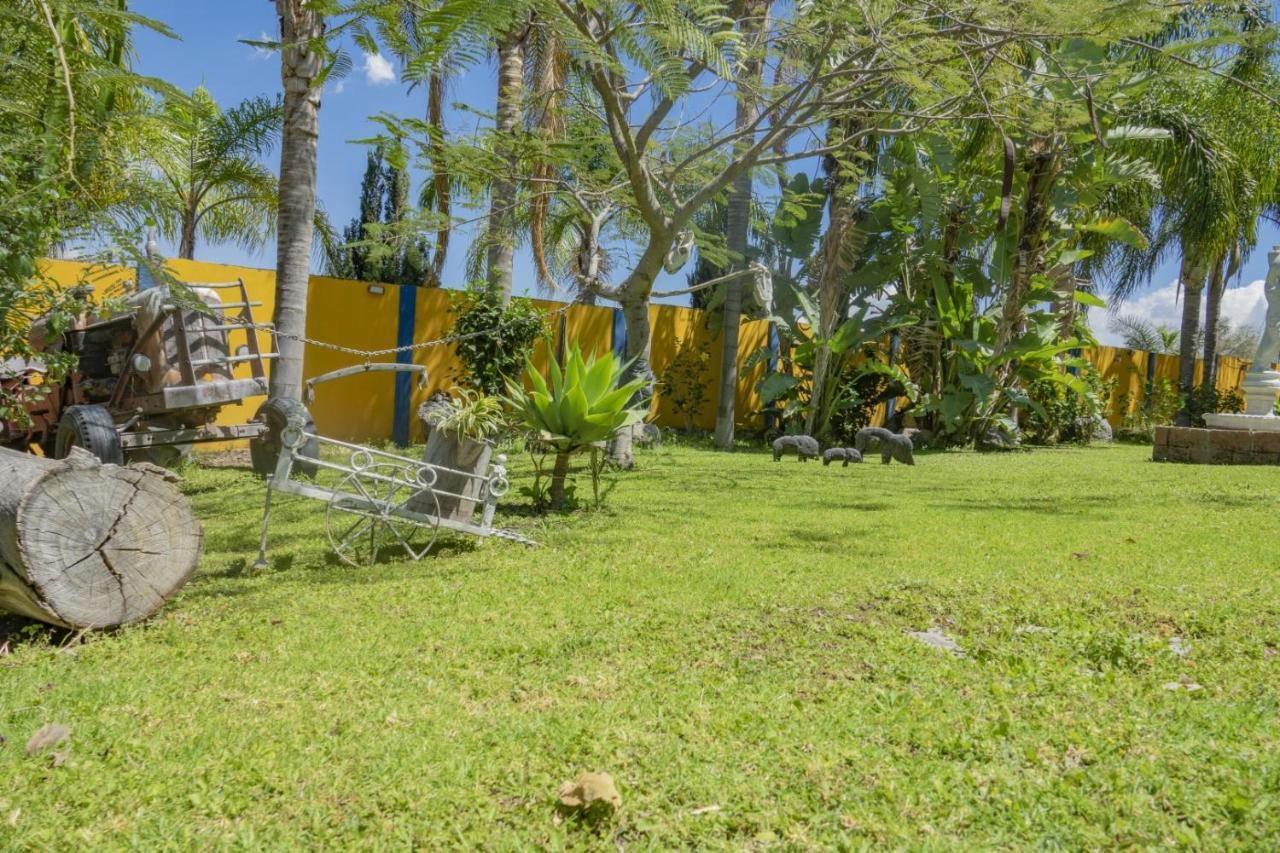 Hotel & Bungalows Las Palmas Villa Corona Eksteriør billede